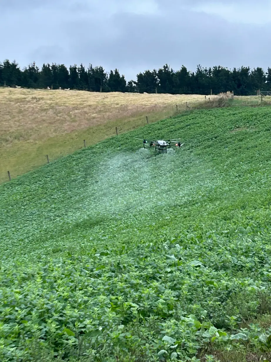 Crop and Weed Spraying, Spreading, weed Spraying, UAV, Drones, Timaru, South Canterbury